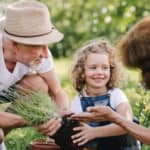 Gardening for Good Health and Wellbeing - Intercare Health Hub