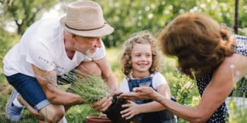 Gardening for Good Health and Wellbeing - Intercare Health Hub