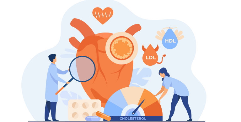 Cholesterol Infographic